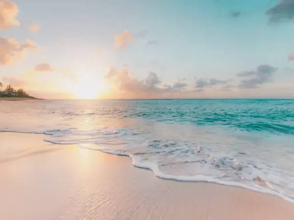 HeHa Ocean View